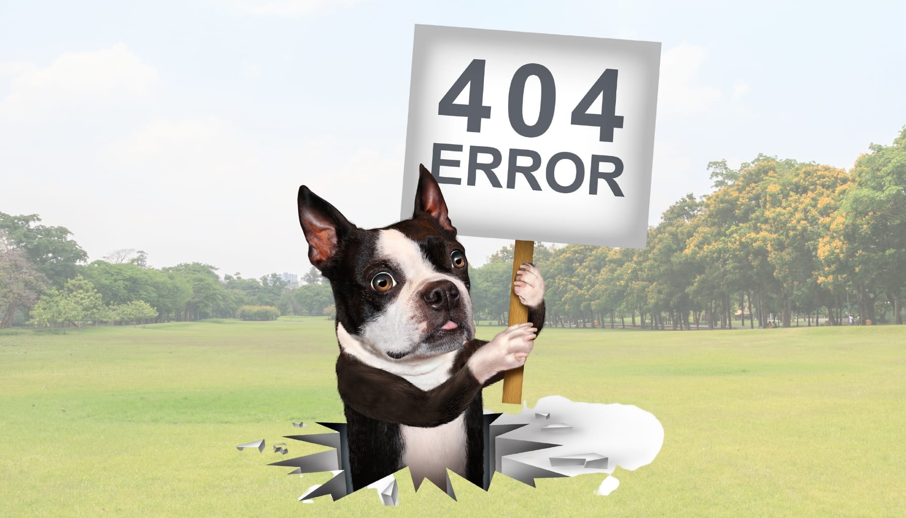 Tela de erro 404 em um site com orientação para boas práticas de SEO