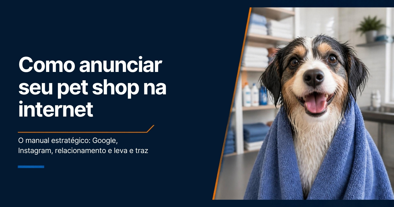 Cachorro feliz depois do banho no pet shop — como anunciar pet shop na internet